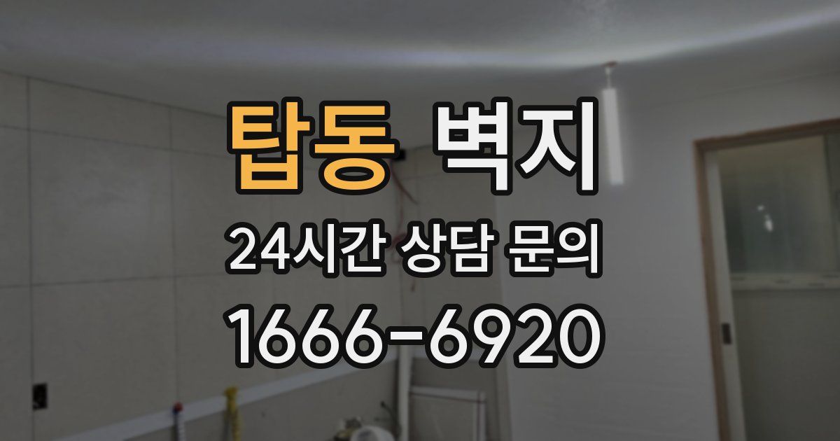 탑동 벽지