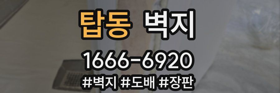 탑동 벽지