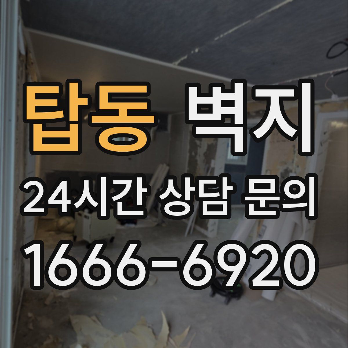 탑동 벽지