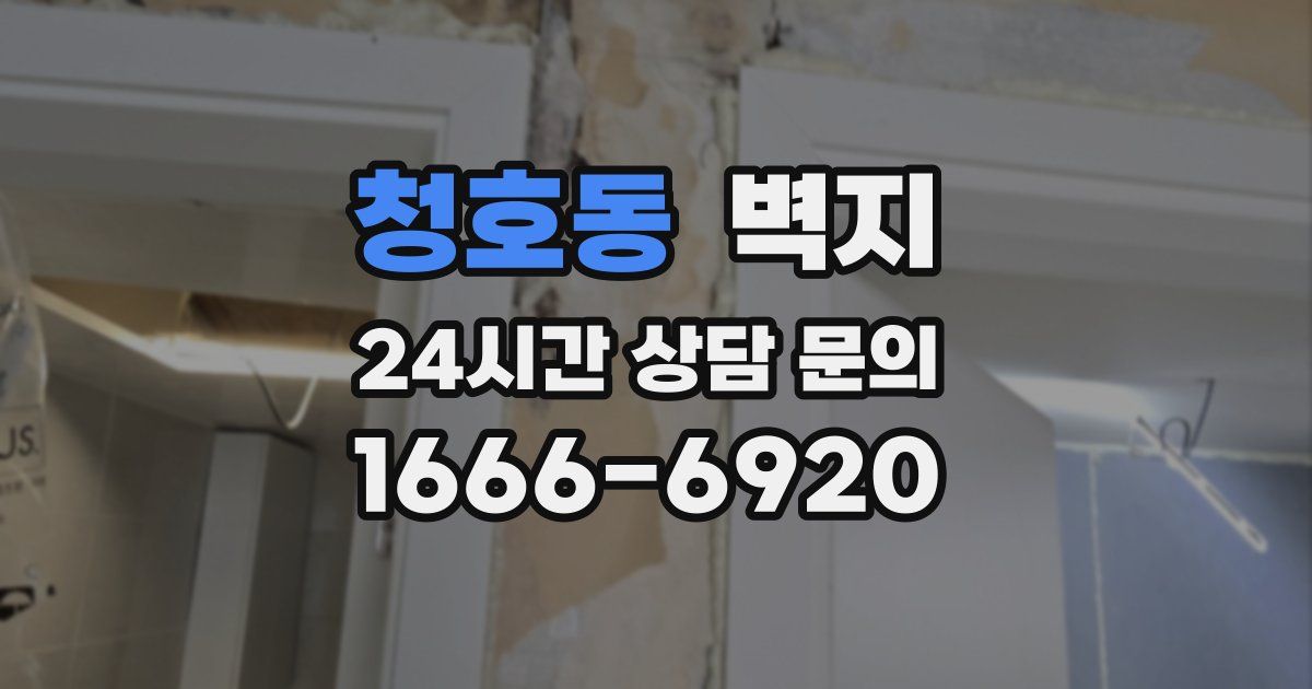 청호동 벽지