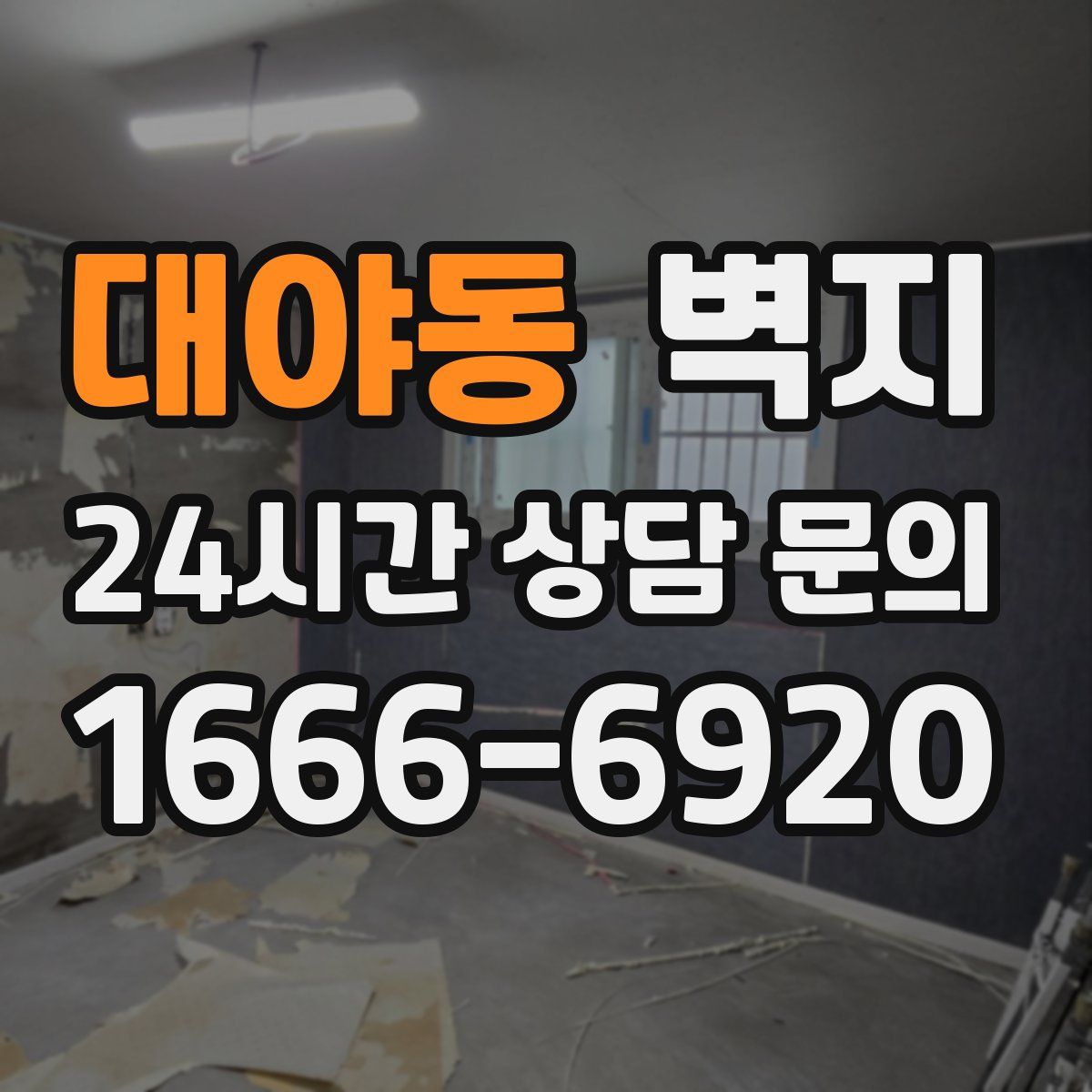 대야동 벽지