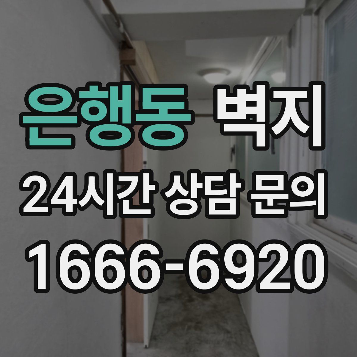 은행동 벽지