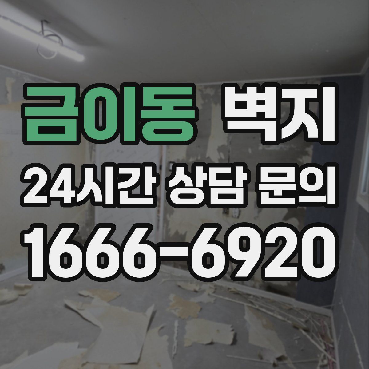 금이동 벽지