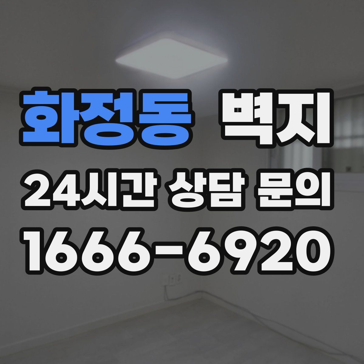 화정동 벽지