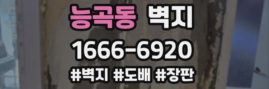 능곡동 벽지