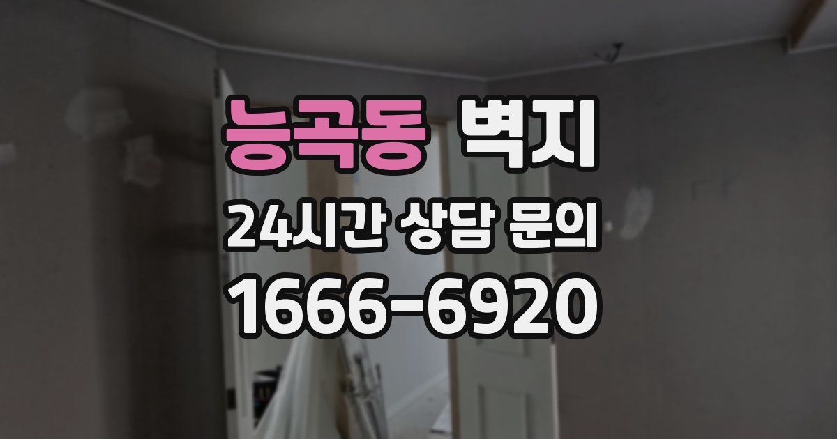 능곡동 벽지