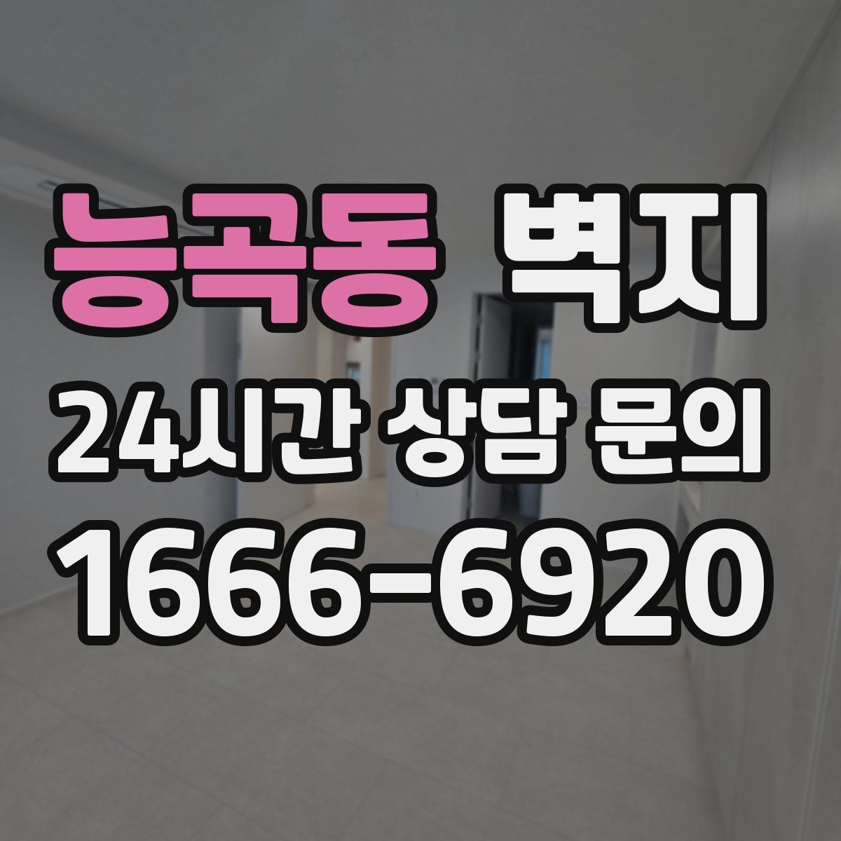 능곡동 벽지