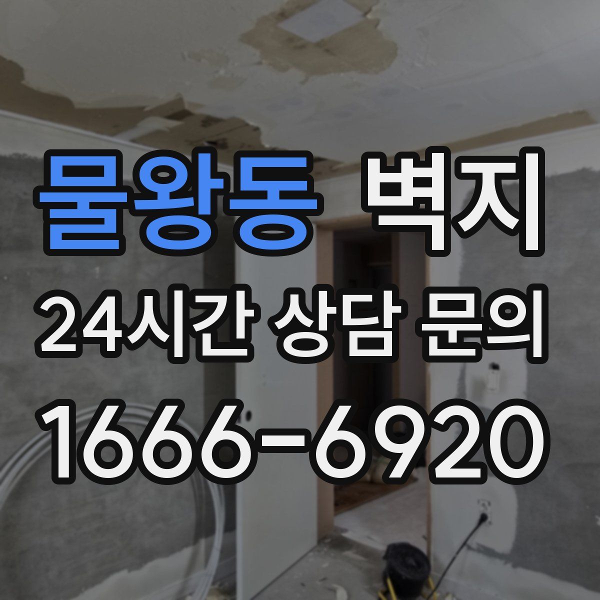 물왕동 벽지