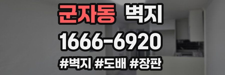 군자동 벽지