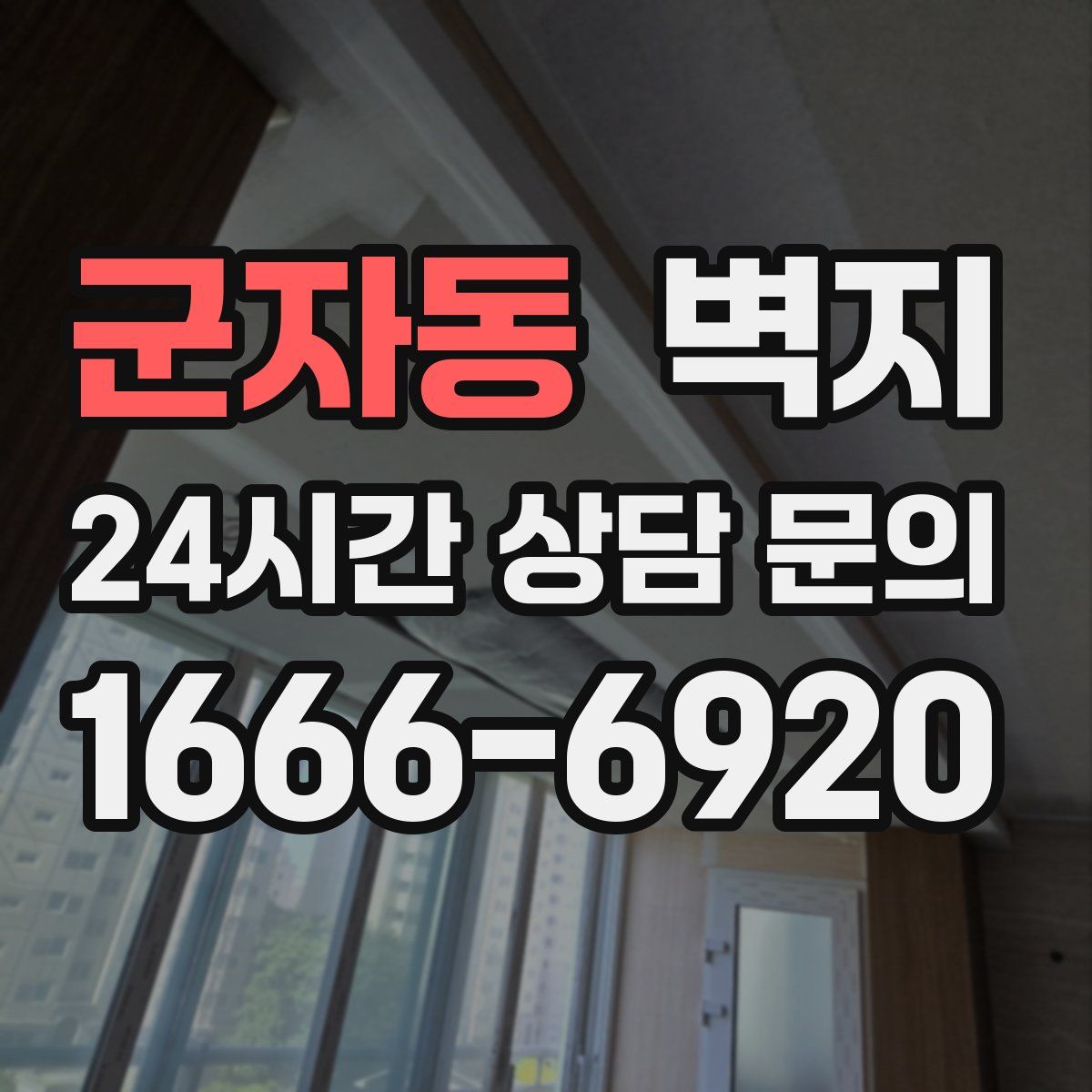 군자동 벽지