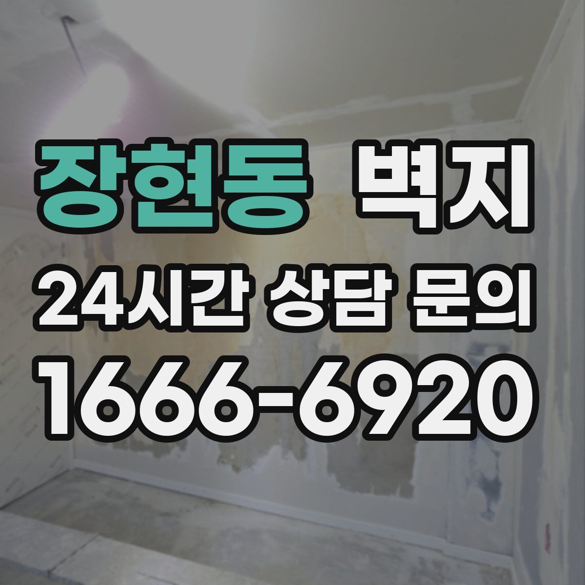 장현동 벽지