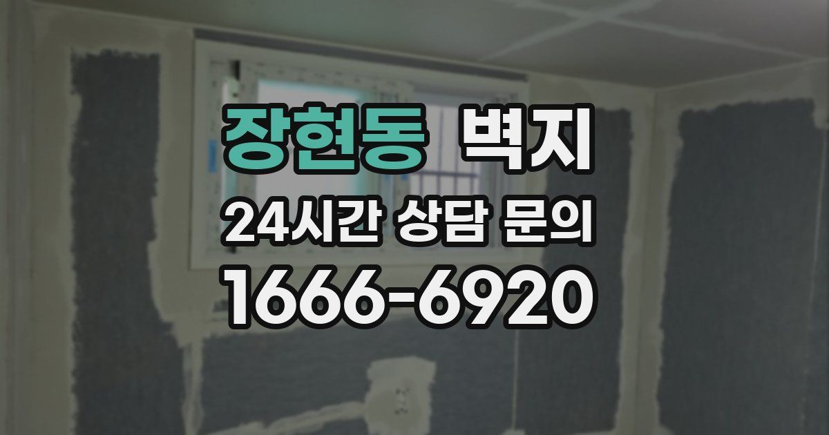 장현동 벽지
