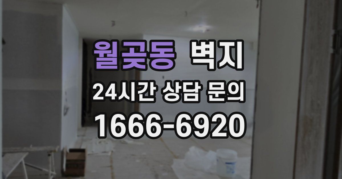 월곶동 벽지