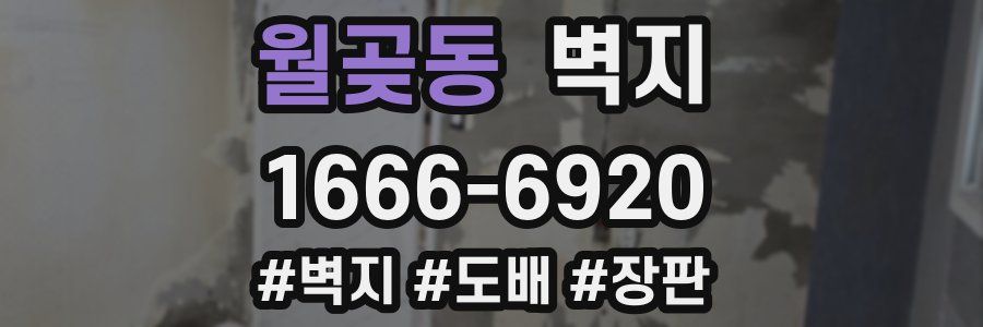 월곶동 벽지