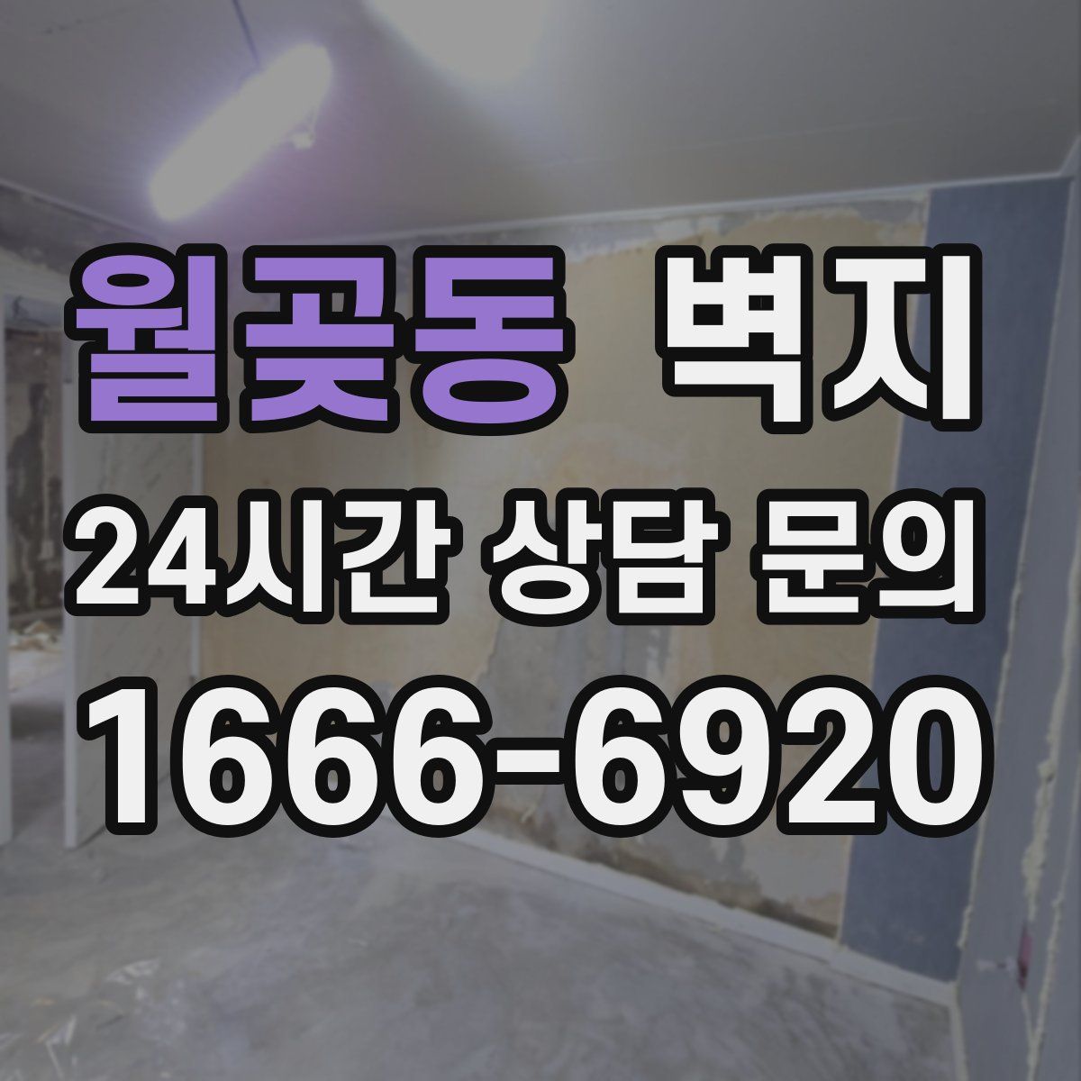 월곶동 벽지