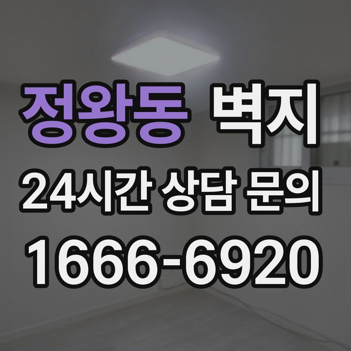정왕동 벽지