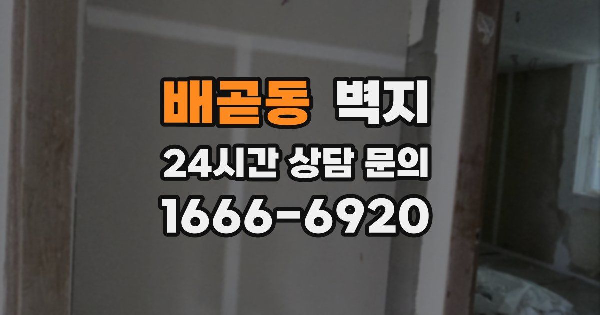 배곧동 벽지