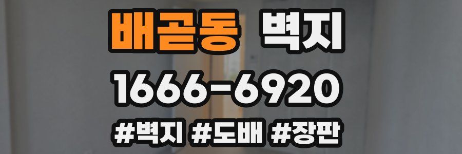 배곧동 벽지