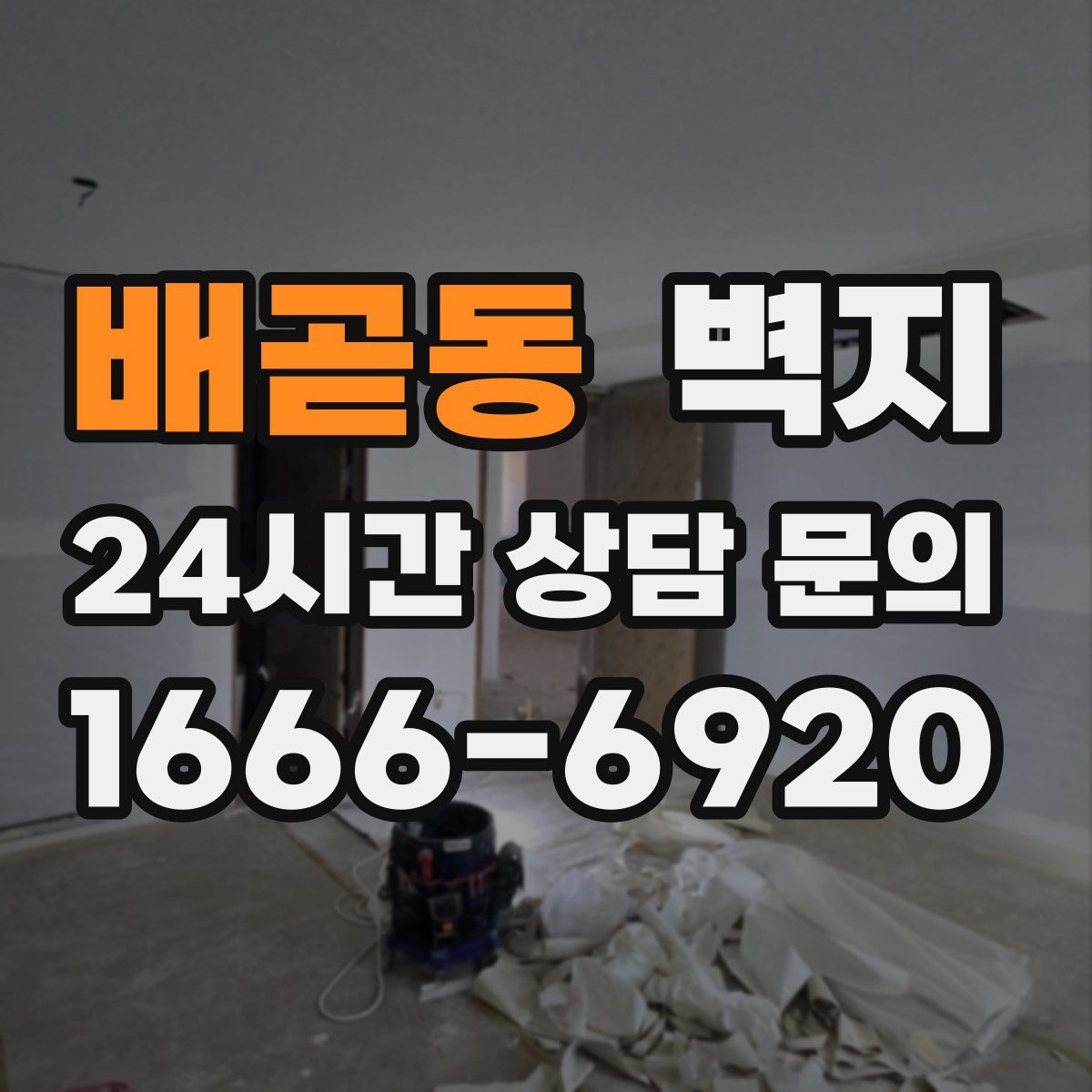 배곧동 벽지