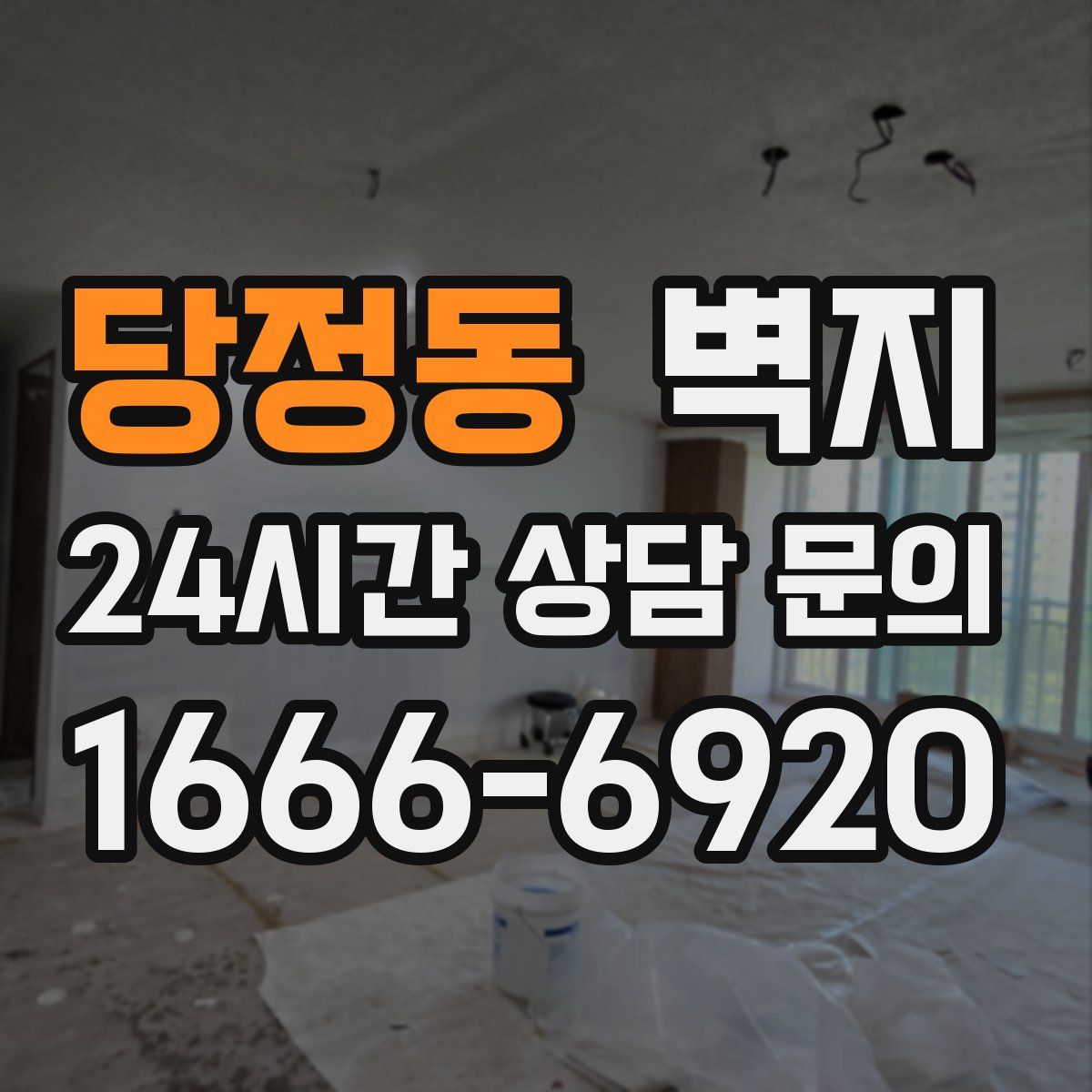 당정동 벽지