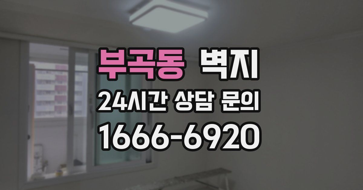부곡동 벽지