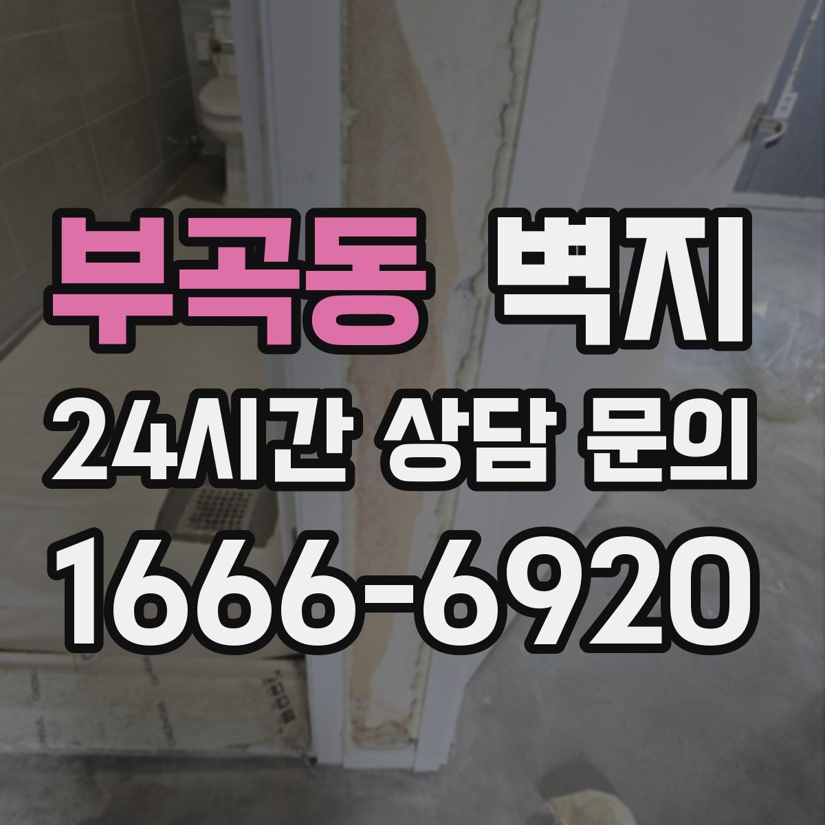 부곡동 벽지