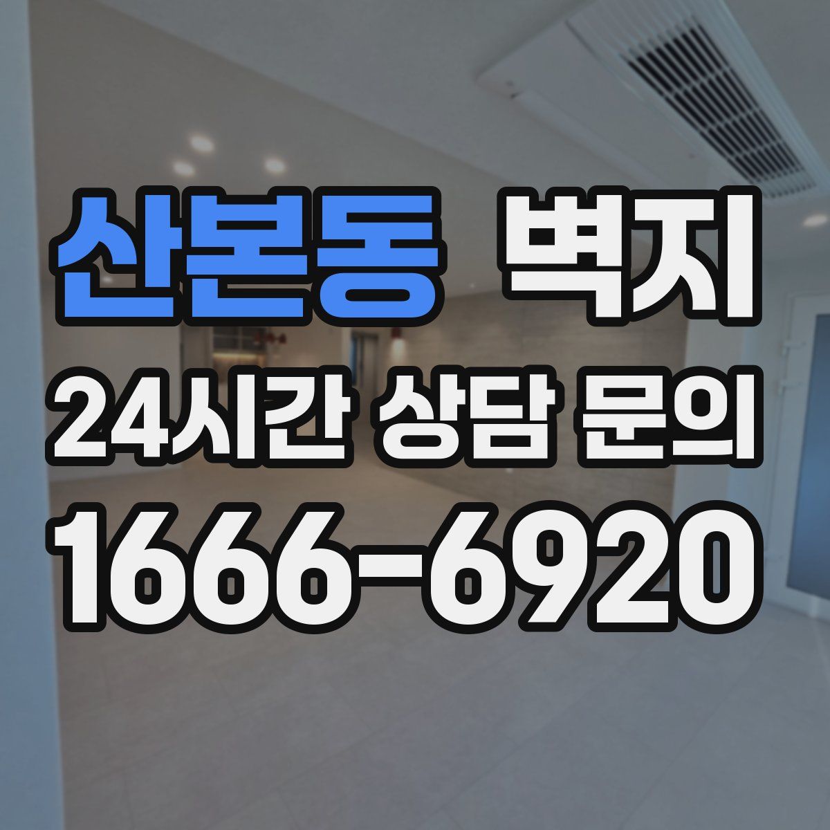 산본동 벽지