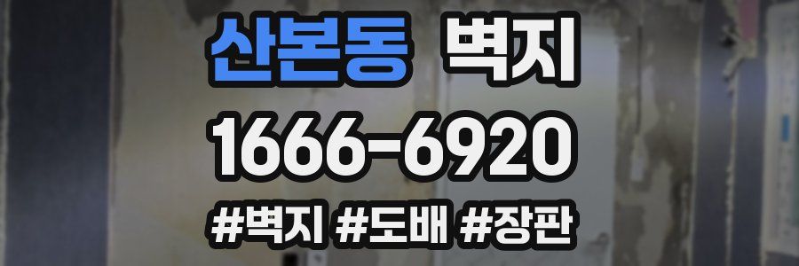 산본동 벽지