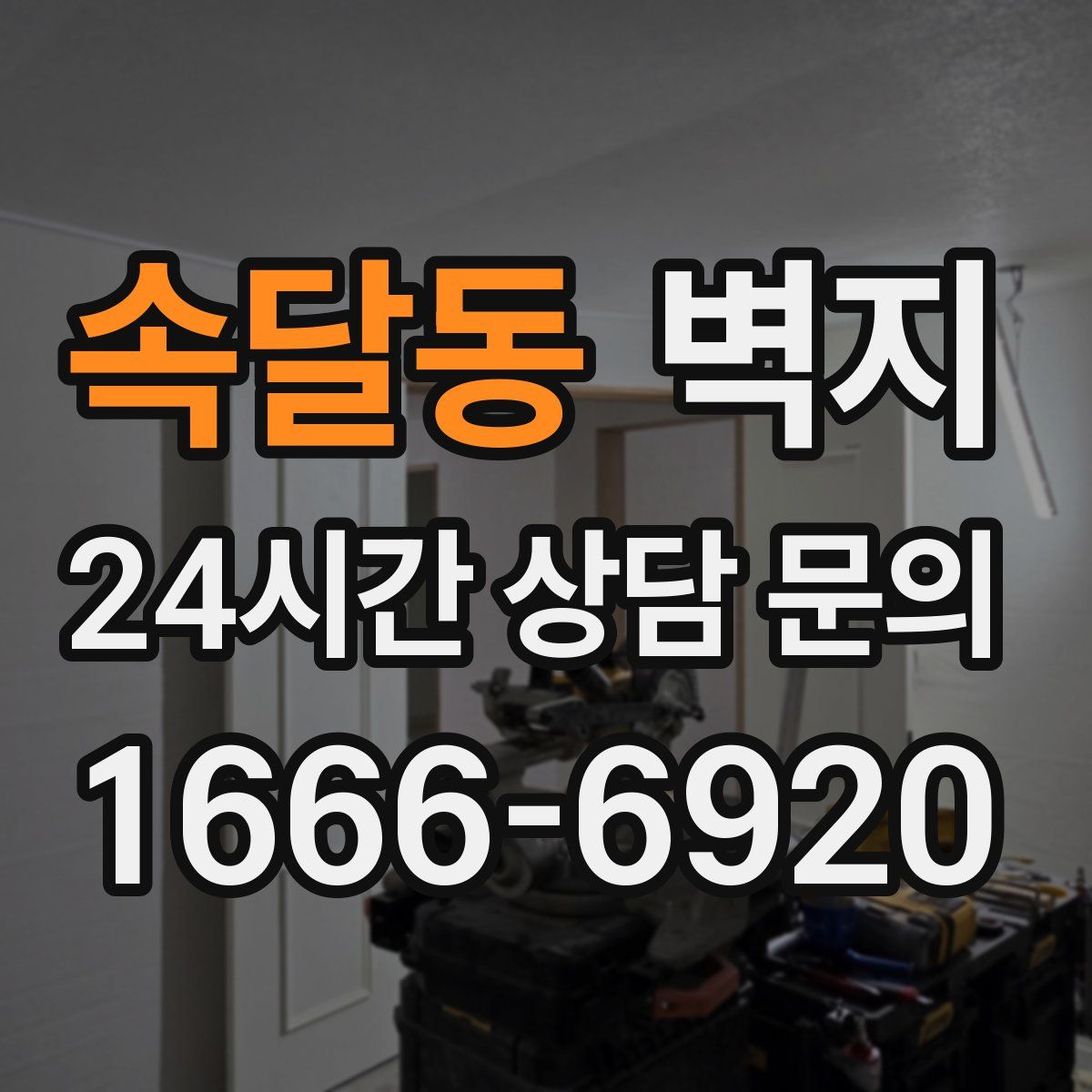 속달동 벽지