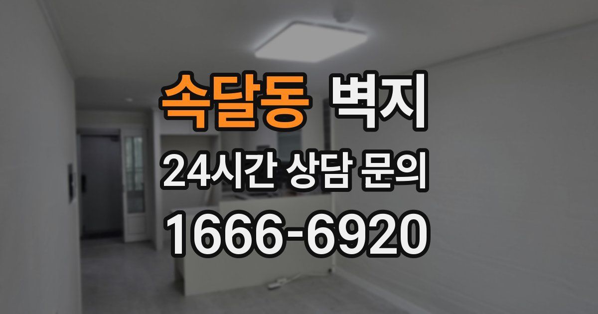 속달동 벽지