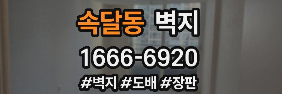 속달동 벽지