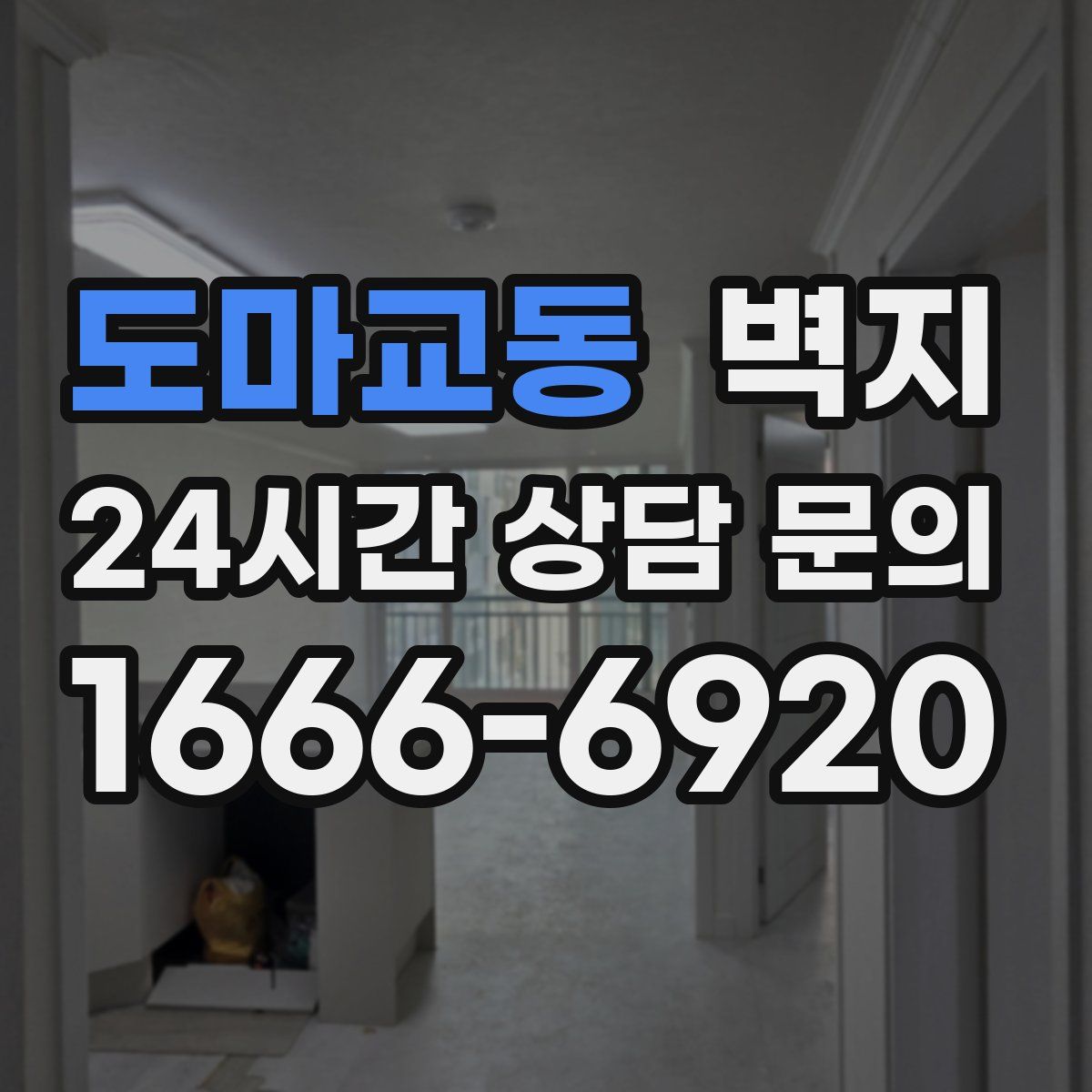 도마교동 벽지