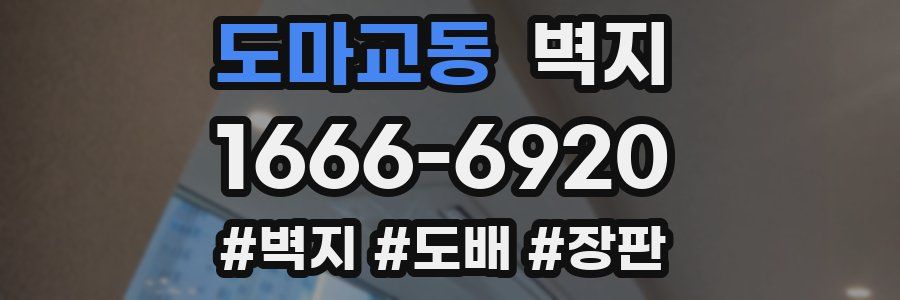 도마교동 벽지