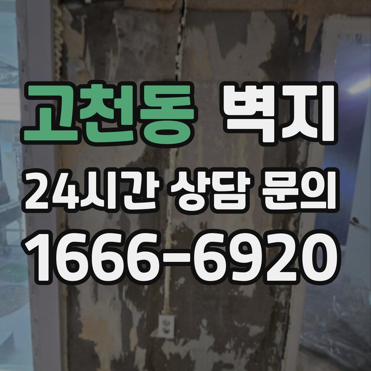 고천동 벽지