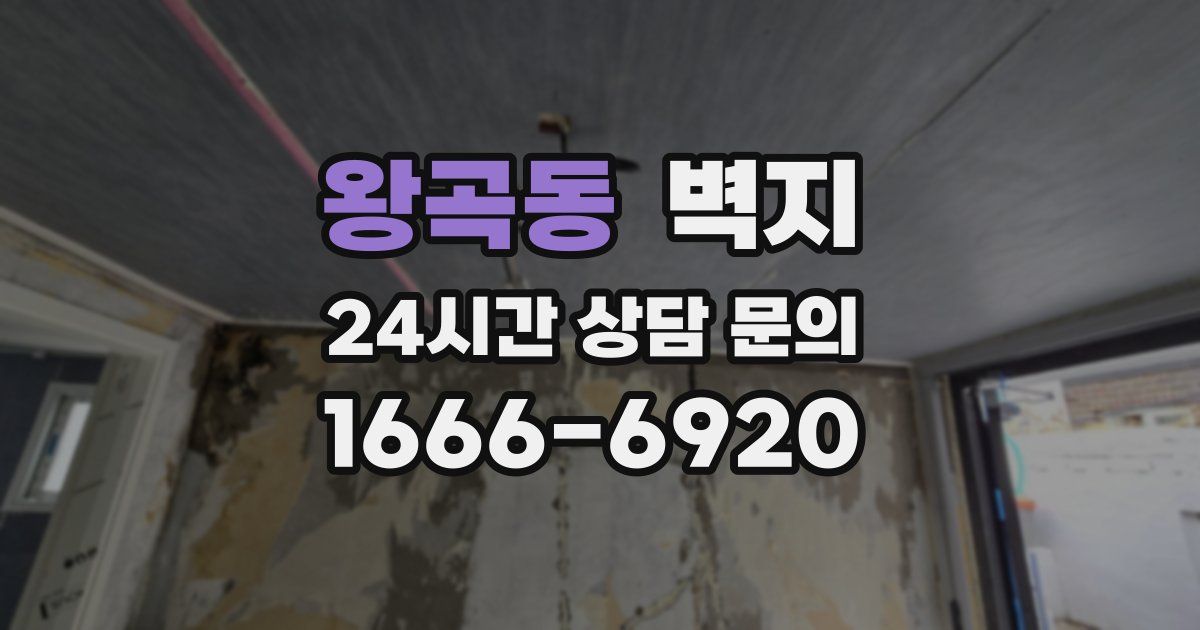 왕곡동 벽지