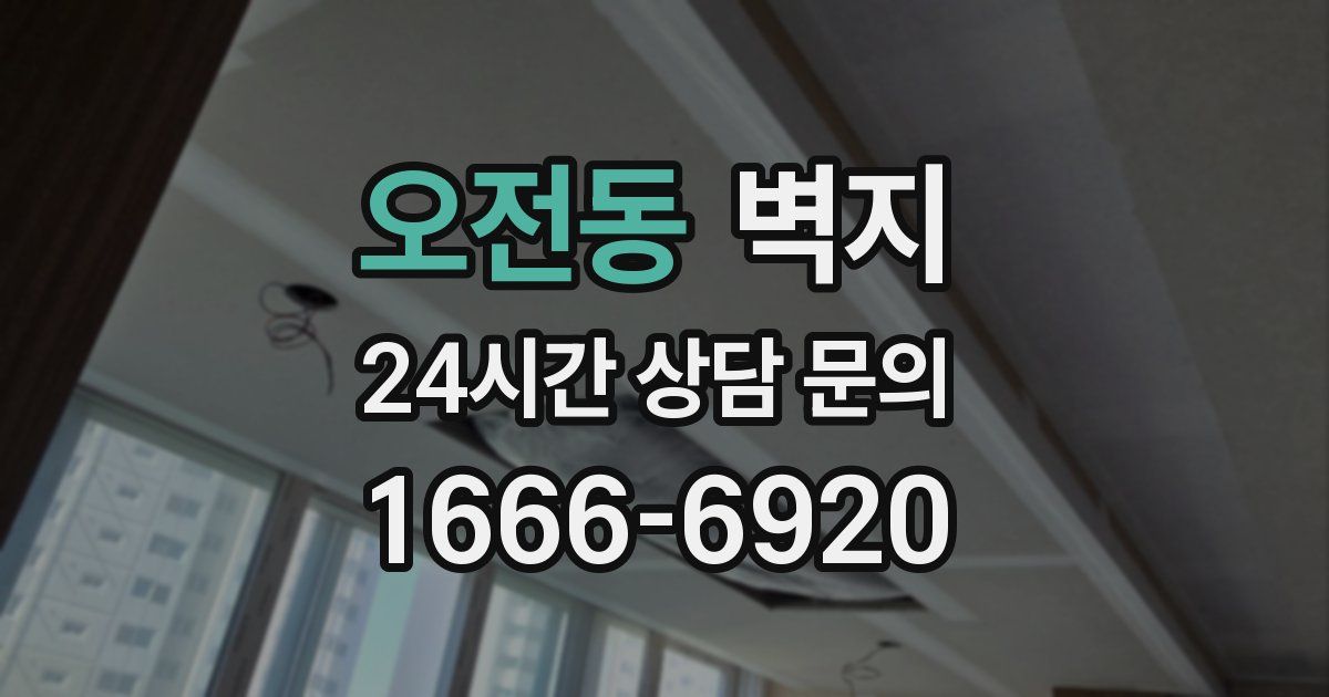 오전동 벽지