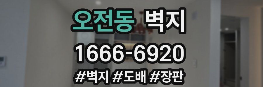 오전동 벽지