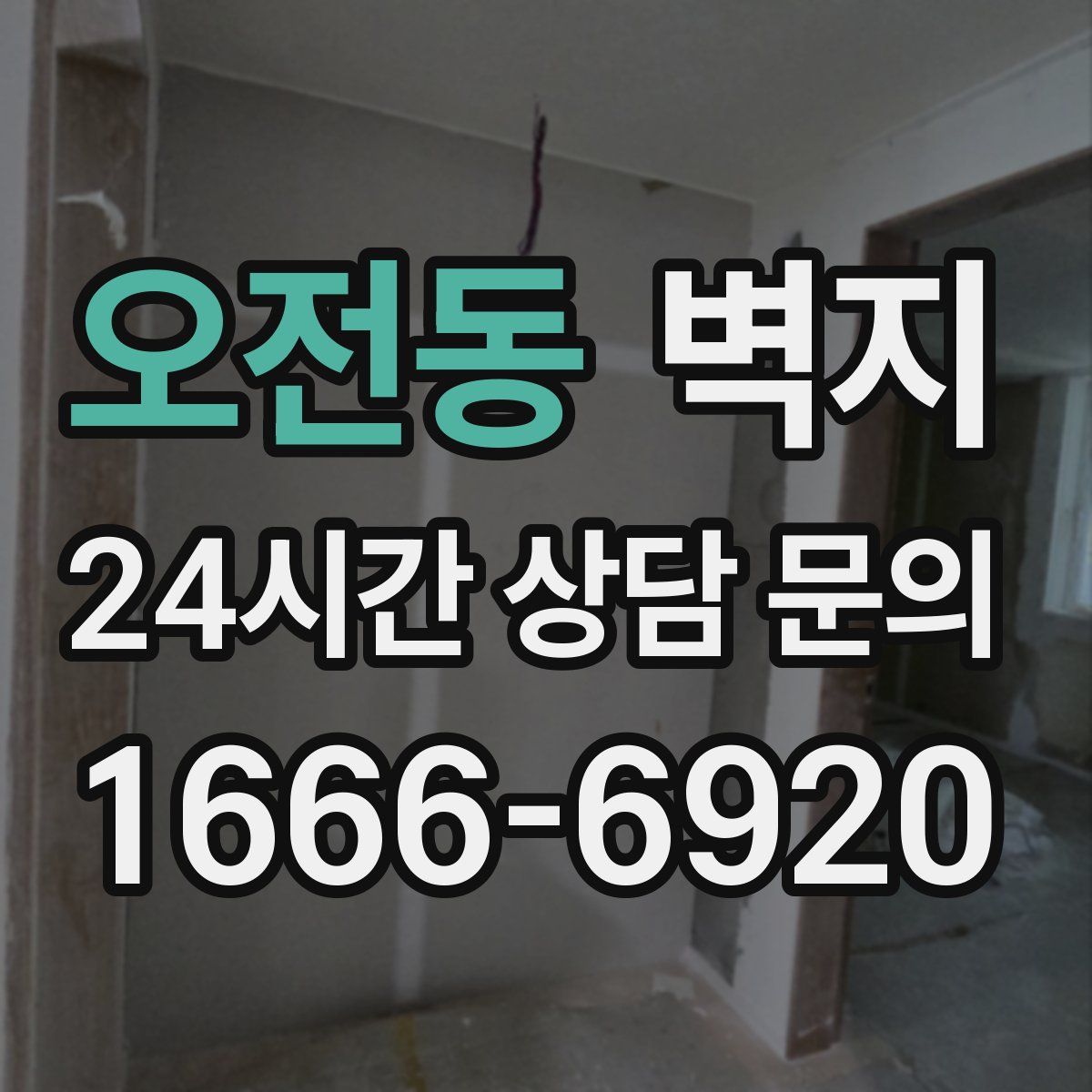 오전동 벽지