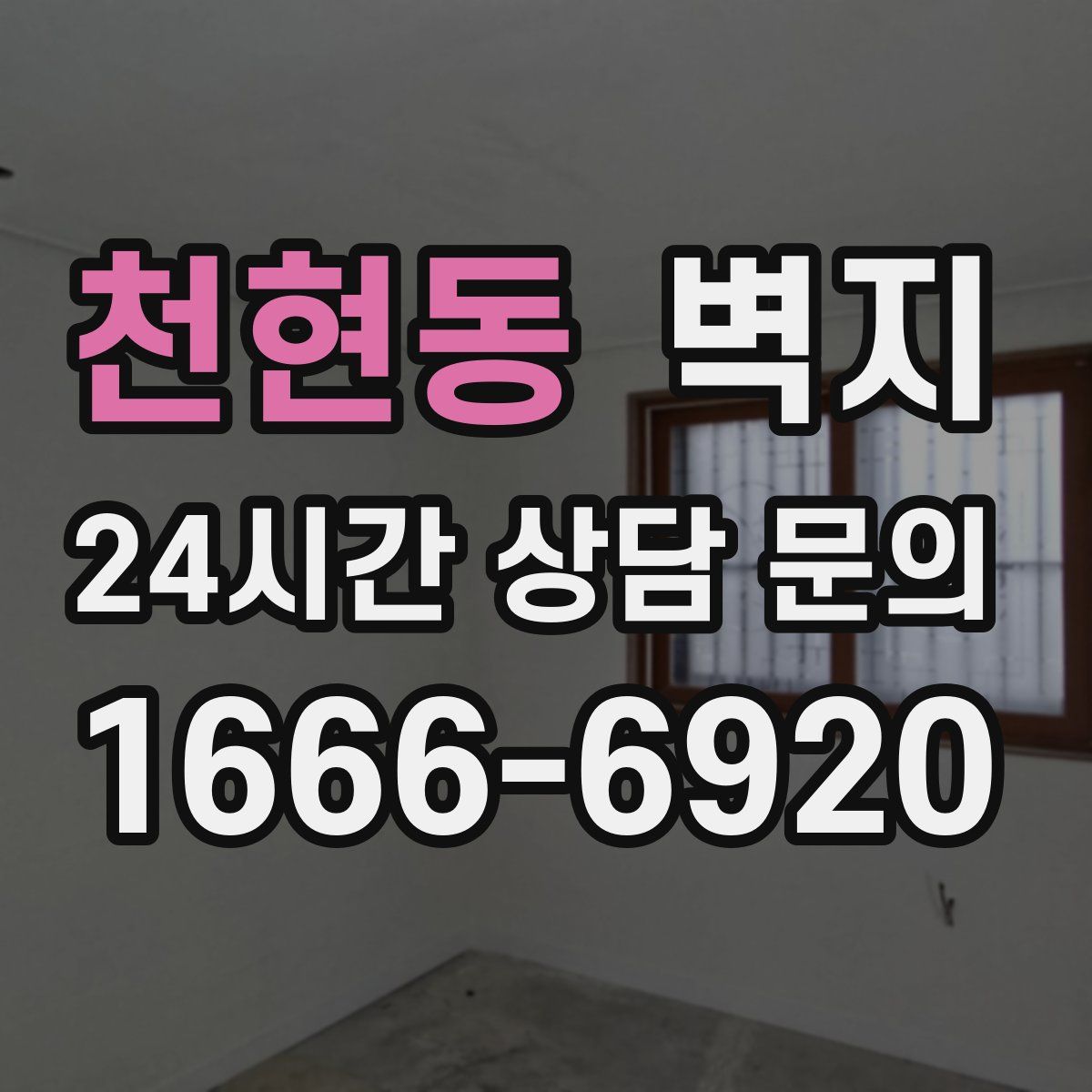 천현동 벽지