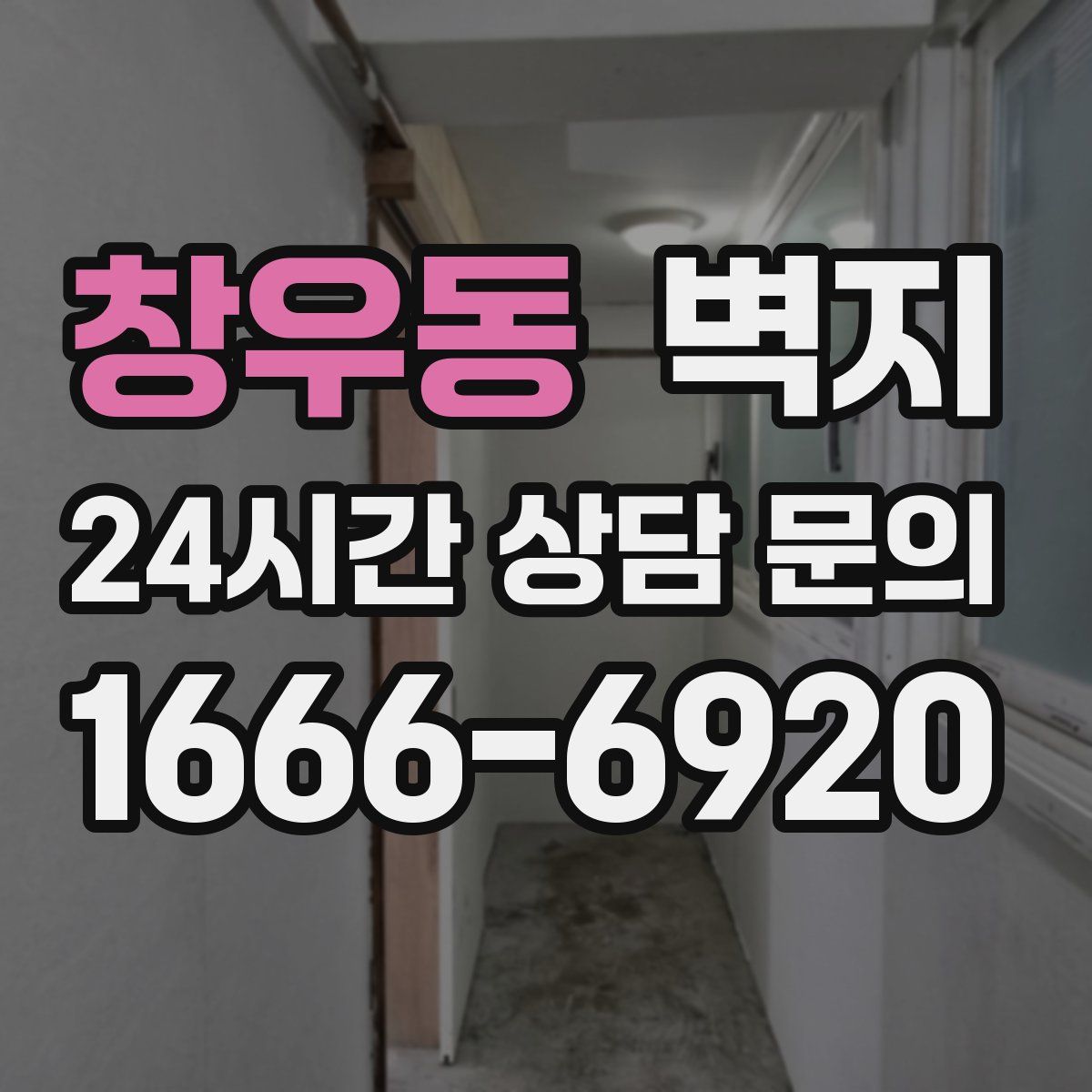창우동 벽지