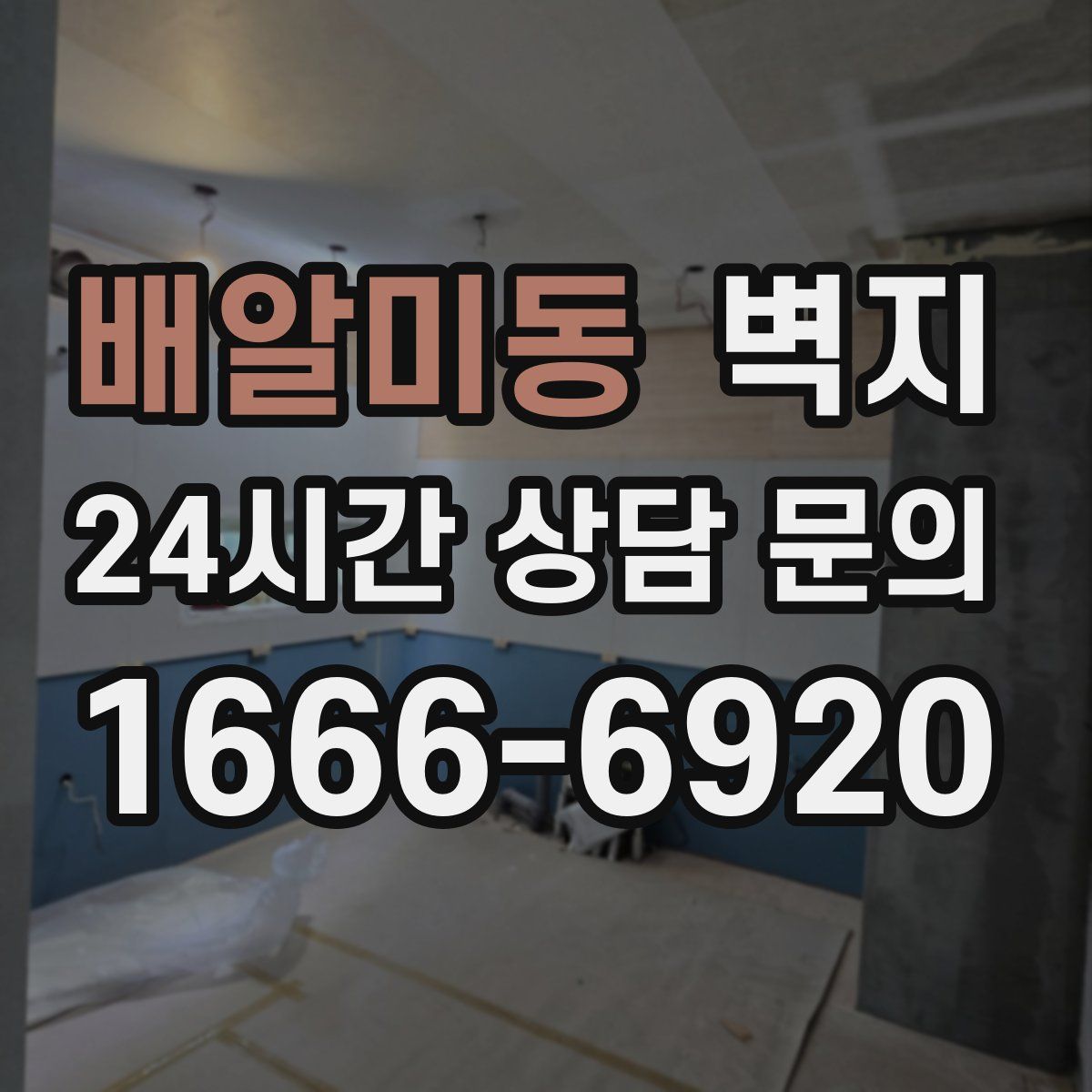 배알미동 벽지