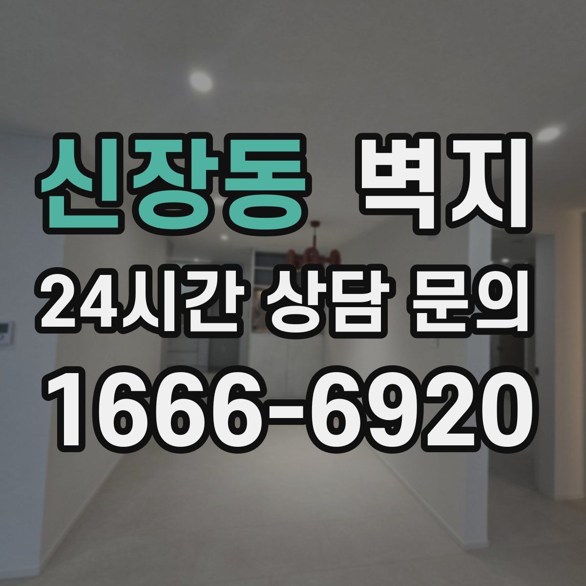 신장동 벽지