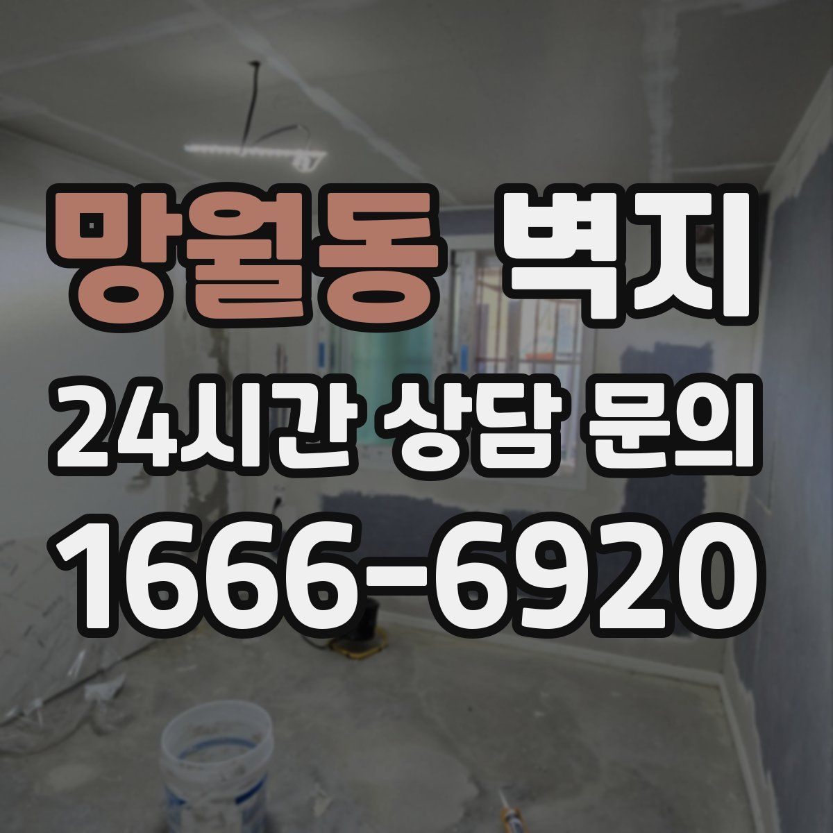 망월동 벽지