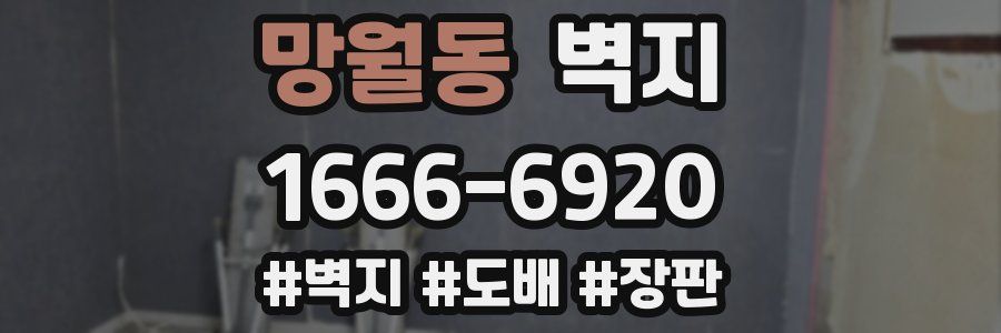 망월동 벽지