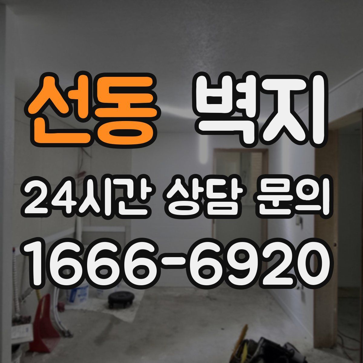 선동 벽지