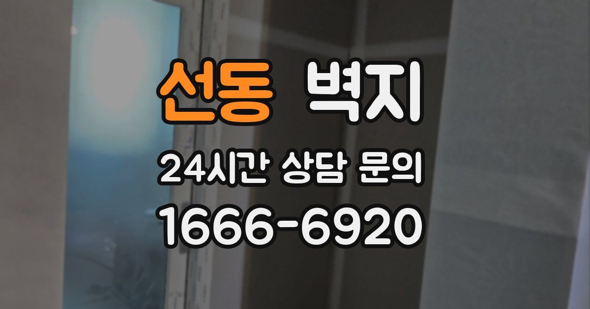 선동 벽지