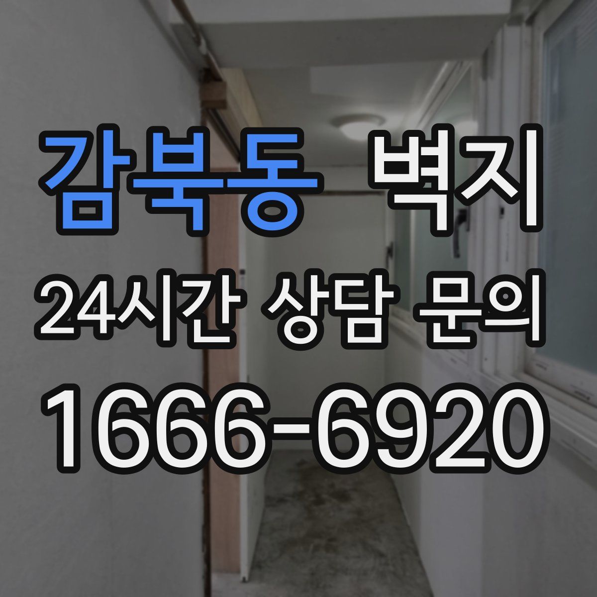 감북동 벽지