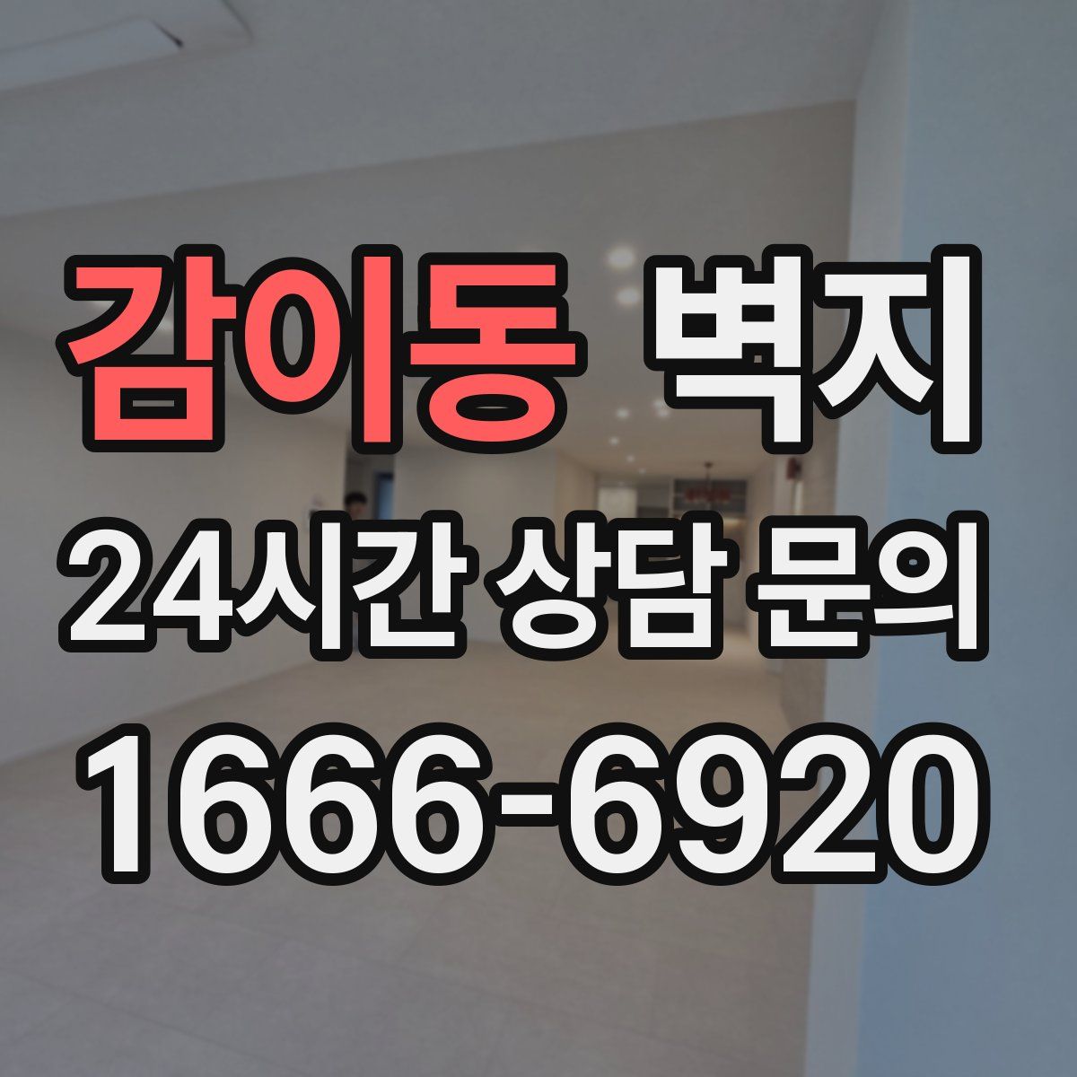 감이동 벽지