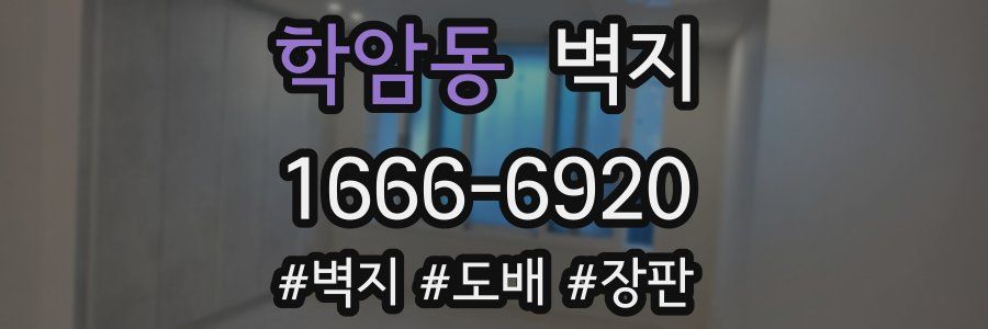 학암동 벽지