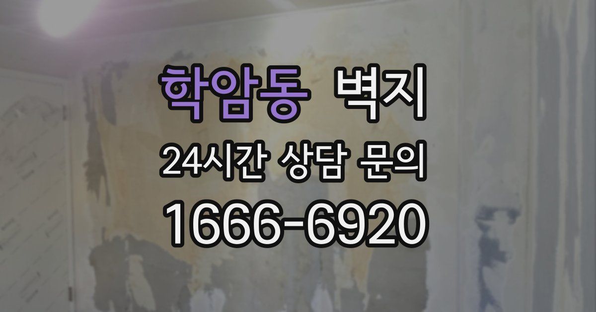 학암동 벽지